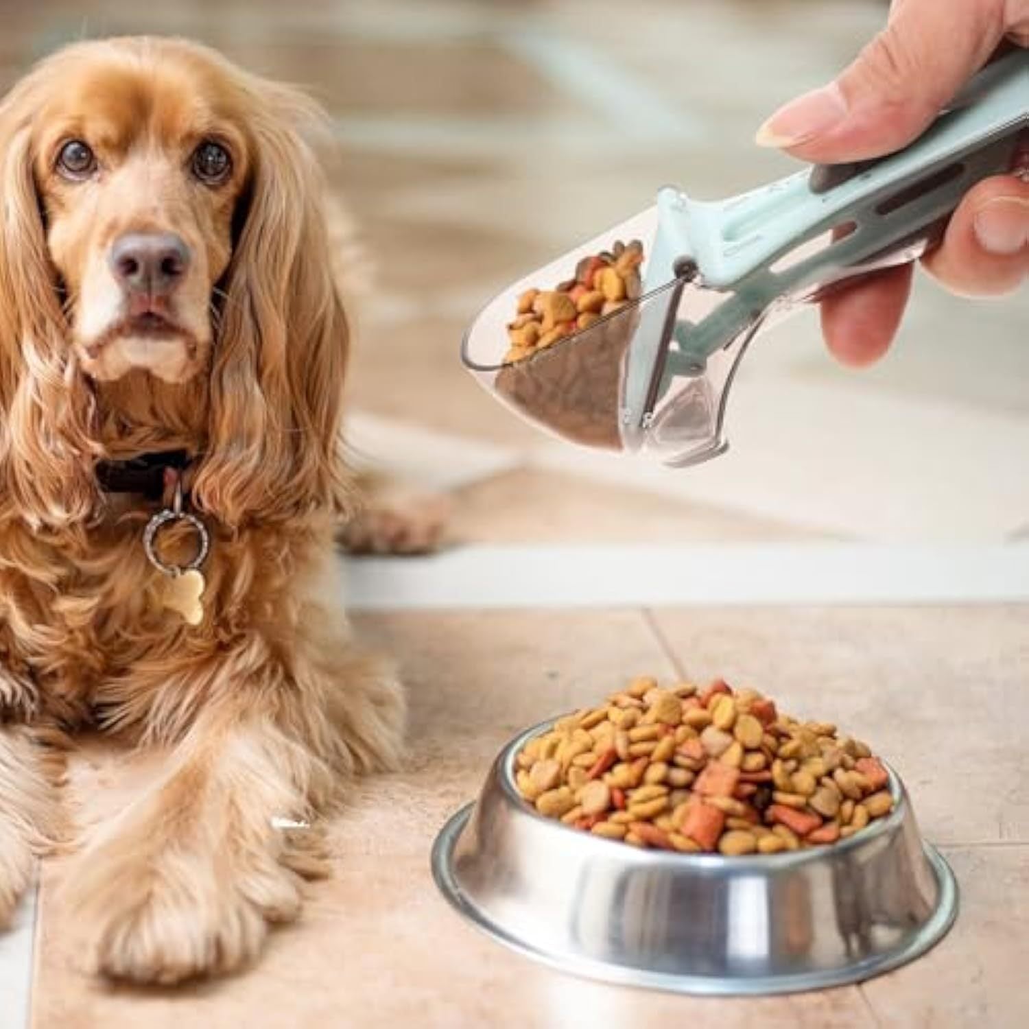 Cuillère Doseuse PETSHOP — Simplicité, Précision & Soin Quotidien