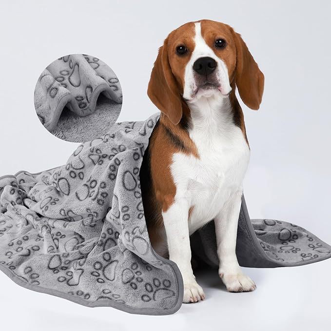 Plaid Cocoon PETSHOP — Douceur & Chaleur pour Chiens et Chats