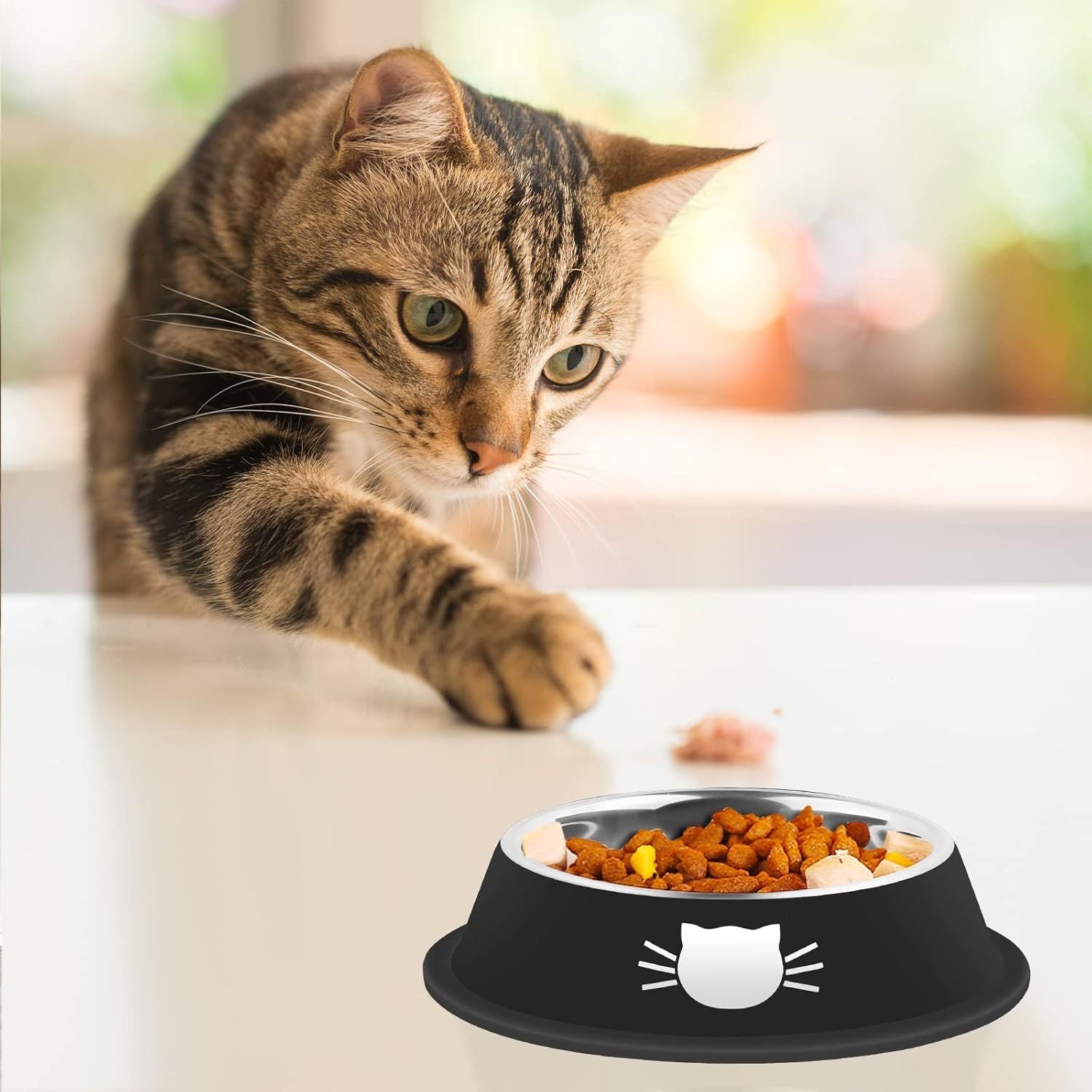 Bol Inox Antidérapant PETSHOP pour Chat & Petit Chien